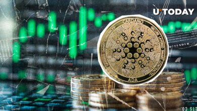 از آنجا که قیمت جزیره به رنگ سبز باز می گردد ، ۷۰ ٪ در حجم Cardano Skyrokets