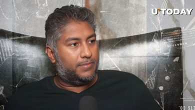 “من با اقتصاد معدن پستان موافق نیستم”: وینی لینگام