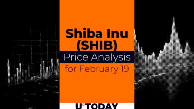 تخمین قیمت Shib برای ۱۹ فوریه