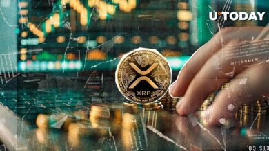 کاندیدای Ball Satoshi XRP با ذکر افزایش ابرو