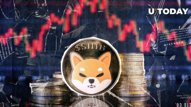 Shiba Inu (Shib) از سال ۲۰۲۴ برای اولین بار این سطح قیمت را از دست داده است