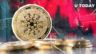 Cardano (جزیره) با ادامه عدم اطمینان بازار ۵۹ ٪ از حجم است