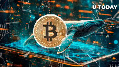 نهنگ مرموز با BTC کوتاهتر ۴۰۰ میلیون دلار حرکت غیر منتظره را ایجاد می کند: جزئیات