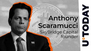 Scaramucci: بیت کوین به ایالات متحده کمک خواهد کرد