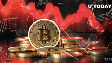 سرمایه گذار افسانه ای فرشته می گوید: Saya ‘Break’ Break ‘Bitcoin Game’ Break خواهد شد “
