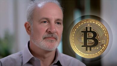 پیتر شیف ، بیت کوین برای مدل کسب و کار طولانی مدت مناسب نیست