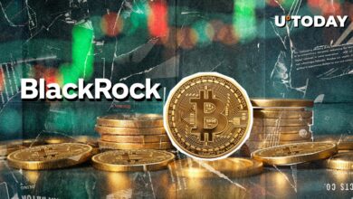 با بازگشت بازار ، هلدینگ بیت کوین BlackRock در حال رشد است