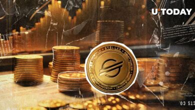 حجم حریف XRP (XLM) حجم ۱۲ ٪ ، آیا قیمت ردیابی می شود؟