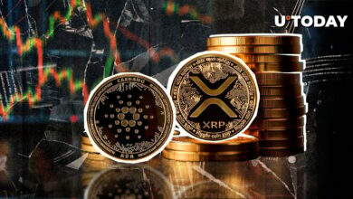 جوامع XRP و Cardano این تفاوت های استراتژیک را دوست ندارند