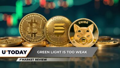 بیت کوین (BTC) 100000 دلار از بین رفته است ، Solana (سمت چپ): حرکت شگفت آور از؟ shiba inu (shib) آیا گرم شدن آن گرم می شود؟