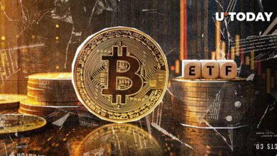 ETF های بیت کوین خونریزی می کنند زیرا قیمت BTC به ۸۶۰۰۰ دلار کاهش می یابد