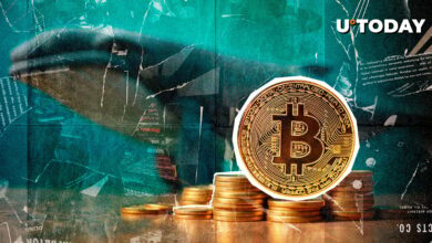 نهنگ های بیت کوین به سرعت برمی گردند – ۵،۰۰۰ BTC در ماه مارس اضافه شد