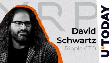 حدس و گمان های انتهایی Ripple CTO در توزیع XRP: جزئیات