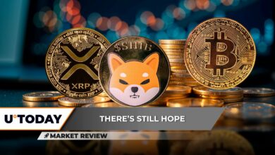 XRP: در اینجا امیدوارم که اینجا معکوس شود؟ Shiba Inu (Shib) با بهترین پشتیبانی سال ۲۰۲۵: بعدی چیست؟ بیت کوین (BTC) 75000 دلار است: تعجب نکنید