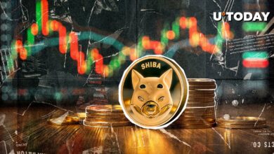 قیمت Shib با ریسک صفر اضافی در وسط فروش مخرب بازار