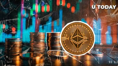 نوسانات XRP 100 ٪