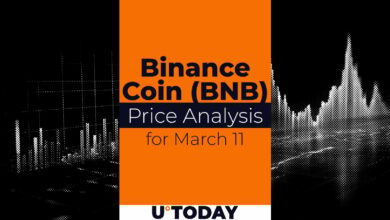 سکه Binance (BNB) برای ۱۱ مارس تخمین زده می شود