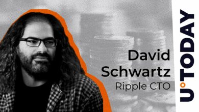 Ripple CTO ویژگی مهم RLUSD Stablecoin را توضیح می دهد