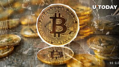 غول Rumble Flow خرید ۱۷.۱ میلیون دلار بیت کوین (BTC) را توضیح می دهد