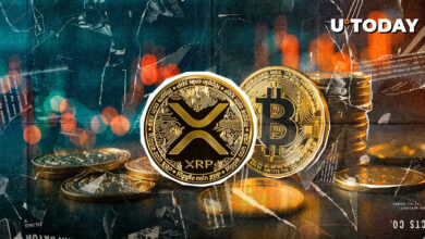 XRP به دیوار در برابر بیت کوین برخورد می کند: آیا تجمع تمام شده است؟ گروه های بولینجر می گویند شاید