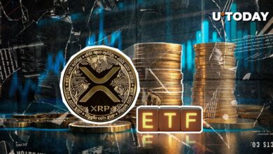 Hashdex به دنبال یک شاخص رمزنگاری برای اضافه کردن XRP و جزیره به ETF است