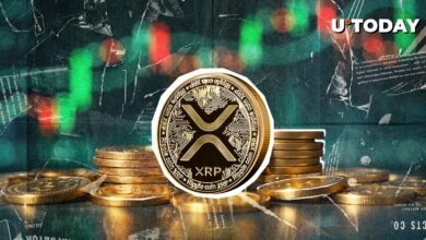 نظرات در مورد Weiss Crypto ، انعطاف پذیری XRP