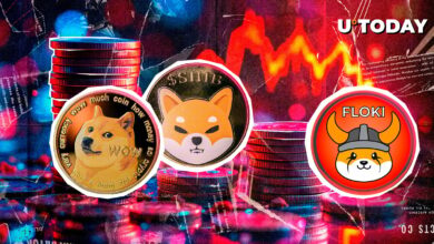 سکه سکه پستان: Doge ، Shib بدترین اجرا ، Floki Top 100
