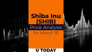 تخمین قیمت Shib برای ۱۸ مارس