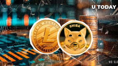 Shib Key در پشت Litecoin در Metrik قرار می گیرد: جزئیات
