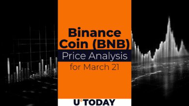 قیمت سکه Binance (BNB) برای ۲۱ مارس تخمین زده می شود