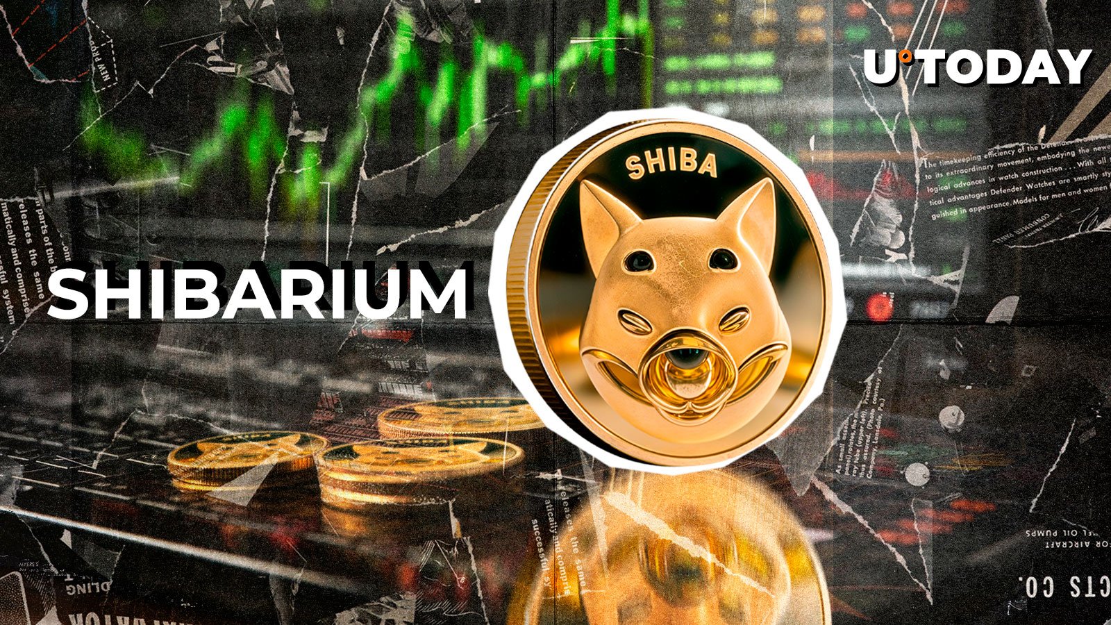 Shibarium در دو آستانه مهم رکورددار Shibarium در دو آستانه مهم رکورددار