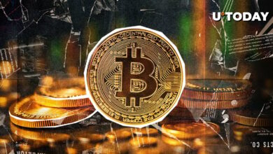 شاخص بیت کوین ترس را نشان می دهد ، چرا می تواند یک گاو باشد