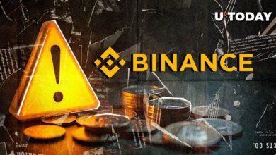 مشکلات Binance در بازار اضطراری هشدار دهنده