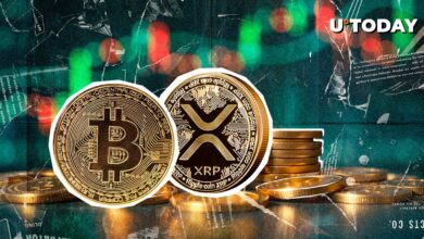XRP و غیره بیت کوین (BTC): 3 سناریو اصلی از گروه های بولینگر