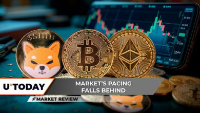 Shiba Inu (Shib): گاوها اکنون تحت کنترل هستند؟ BITCOIN (BTC) نقطه عالی ، Ethereum (ETH): سیگنال کاهش عالی ، اما یک آغازگر نقره ای وجود دارد
