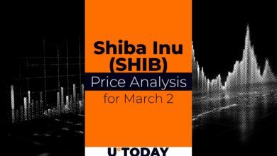 تخمین قیمت Shib برای ۲ مارس