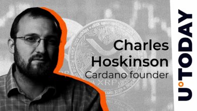 “XRP یک استاندارد جهانی است”: خالق Cardano شک و تردید در ایالات متحده را خاتمه می دهد
