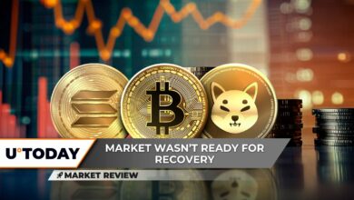 آیا بیت کوین (BTC) با قیمت ۱۰۰۰۰۰ دلار آماده است؟ Solana (سمت چپ) Skyrokets ، اما به اشتباه ، Shiba Inu (Shib): آیا امیدی وجود دارد؟