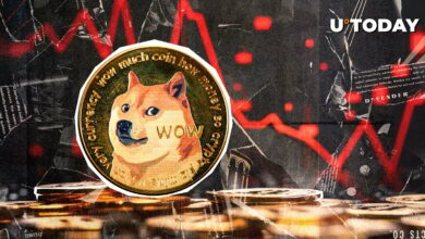 Dogecoin پس از کاهش ۱۳ ٪ قیمت ، پشتیبانی بحرانی را شکست می دهد