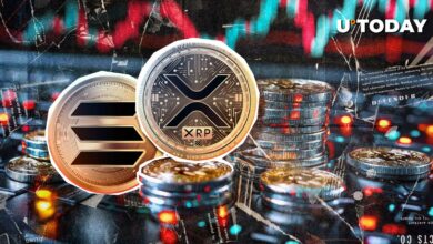 بهترین نامزد Satoshi می گوید که بخش های Solana XRP و Solana “کلاهبرداری آشکار” هستند