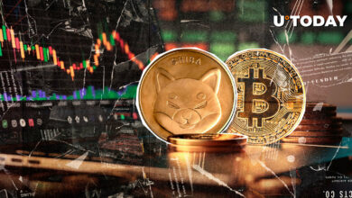 Shiba Inu (Shib) شروع به شکستن بدترین رکورد در برابر بیت کوین (BTC)