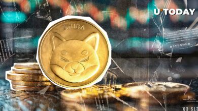 ۹.۲ تریلیون Shiba Inu 24 ساعت ، علاقه باز Shib افزایش می یابد