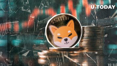 Shiba Inu (Shib): 150 ٪ افزایش در بدترین متریک ممکن