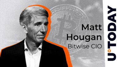 Bitwise CIO پیش بینی می کند که بیت کوین می تواند به ارزش بازار ۵۰ تریلیون دلار برسد