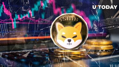 قیمت Shiba Inu (Shib) علائم بهبودی را نشان می دهد – اما آیا می تواند طول بکشد؟
