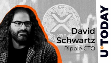 Ripple CTO به XRP به دست آمده در صندوق بین المللی پول واکنش نشان می دهد و از آنها سود می برد