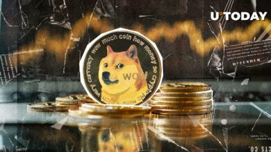 با ذخیره رسمی Dogecoin و ۱۰ میلیون خرید Doge زندگی کنید