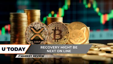 shiba inu (shib): شروع کنید؟ XRP یک پیشرفت سطح بالا ، بیت کوین (BTC) را ایجاد می کند: ۹۰،۰۰۰ دلار بعدی