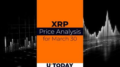 تخمین قیمت XRP برای ۳۰ مارس