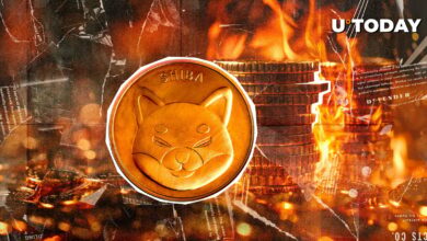 Shib Burns 750 ٪ پرش ۱۷،۱۲۷،۰۶۹ SHiB از گردش خون بیرون کشیده شد